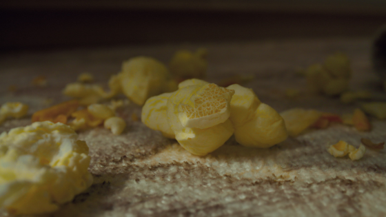A close-up shot of scattered popcorn on a Tumble rug — a candid moment that highlights the everyday messes these rugs are made to handle with ease.