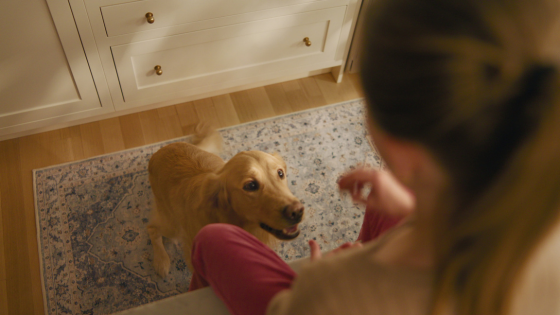 A golden retriever looks up eagerly at a young girl sitting on the stairs, set against a richly patterned Tumble rug that brings texture and life to the room.